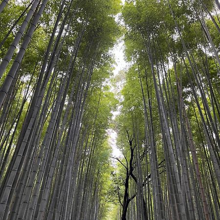嵐山 天龍の宿 駐車無料 一棟貸切 最大5人 Dragon Legend Arashiyama Central Private Rare Modern Villa Free Parking Max 5Ppl Shimosaga Luaran gambar