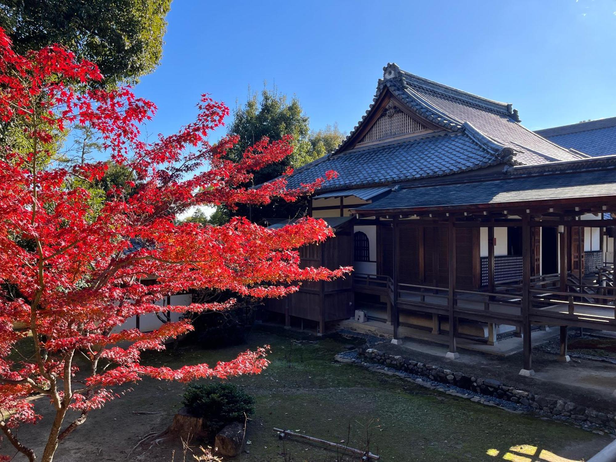 嵐山 天龍の宿 駐車無料 一棟貸切 最大5人 Dragon Legend Arashiyama Central Private Rare Modern Villa Free Parking Max 5Ppl Shimosaga Luaran gambar