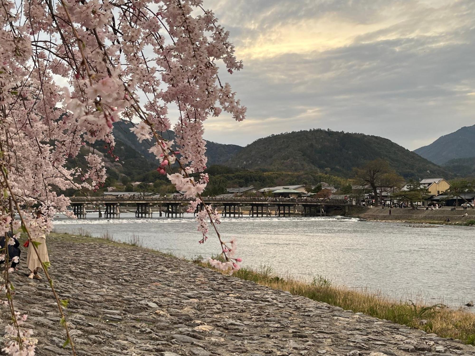 嵐山 天龍の宿 駐車無料 一棟貸切 最大5人 Dragon Legend Arashiyama Central Private Rare Modern Villa Free Parking Max 5Ppl Shimosaga Luaran gambar